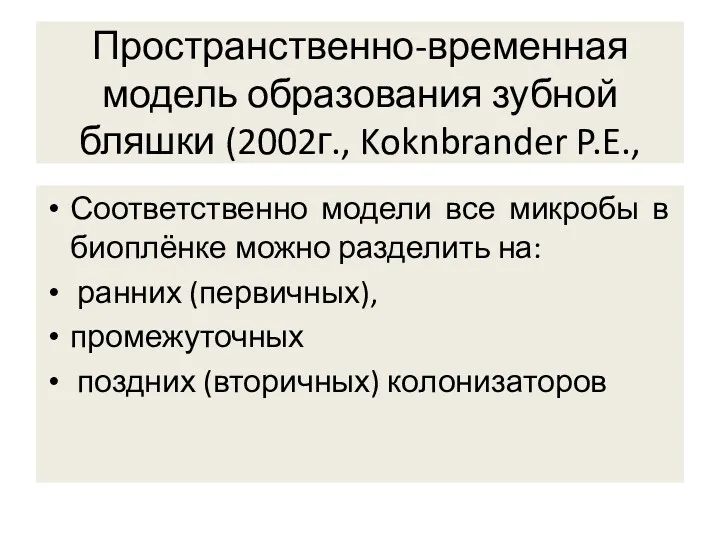 Пространственно-временная модель образования зубной бляшки (2002г., Koknbrander P.E., Соответственно модели