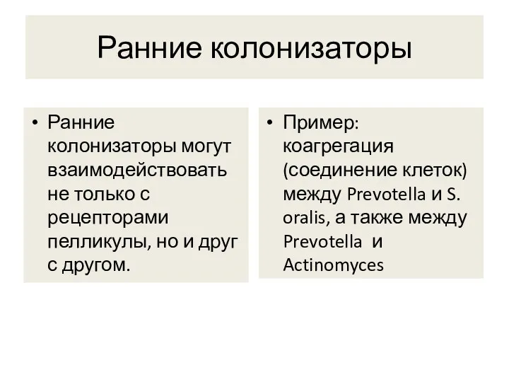 Ранние колонизаторы могут взаимодействовать не только с рецепторами пелликулы, но