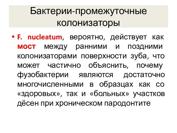 Бактерии-промежуточные колонизаторы F. nucleatum, вероятно, действует как мост между ранними