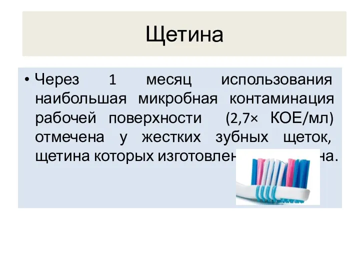 Щетина Через 1 месяц использования наибольшая микробная контаминация рабочей поверхности