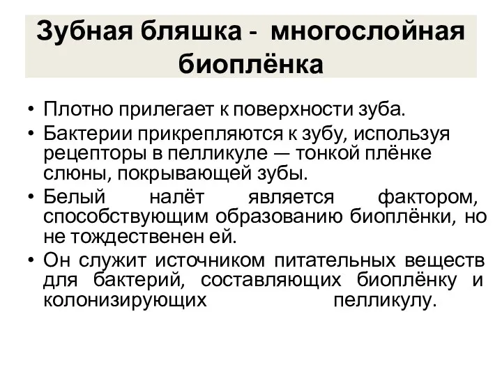 Зубная бляшка - многослойная биоплёнка Плотно прилегает к поверхности зуба.