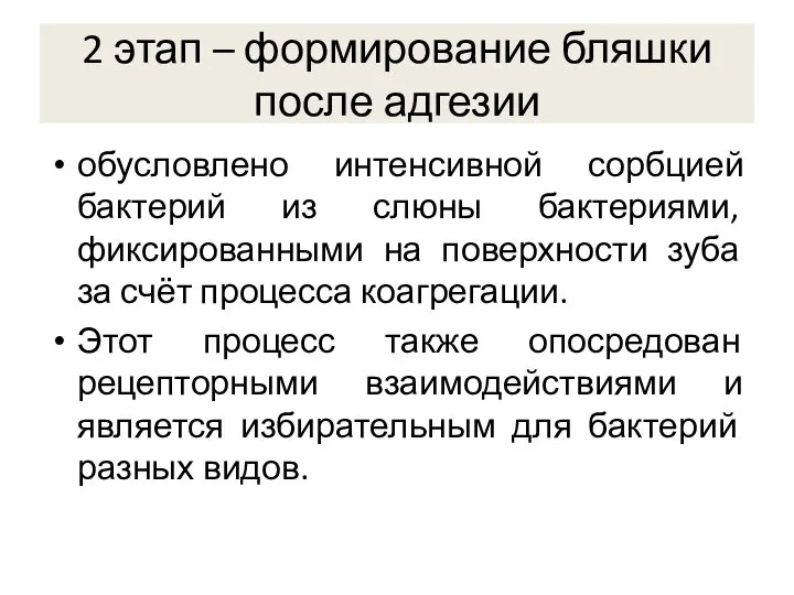 2 этап – формирование бляшки после адгезии обусловлено интенсивной сорбцией