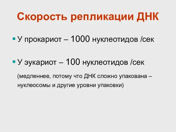 Скорость репликации ДНК У прокариот – 1000 нуклеотидов /сек У