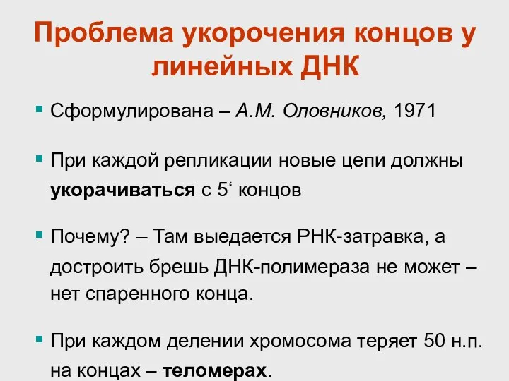 Проблема укорочения концов у линейных ДНК Сформулирована – А.М. Оловников, 1971 При каждой