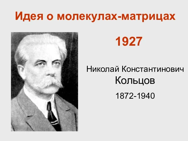 Николай Константинович Кольцов 1872-1940 1927 Идея о молекулах-матрицах