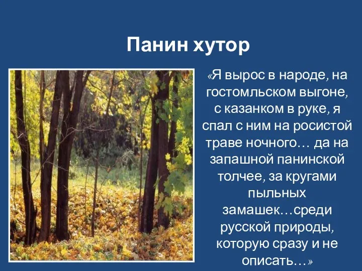 Панин хутор «Я вырос в народе, на гостомльском выгоне, с казанком в руке,