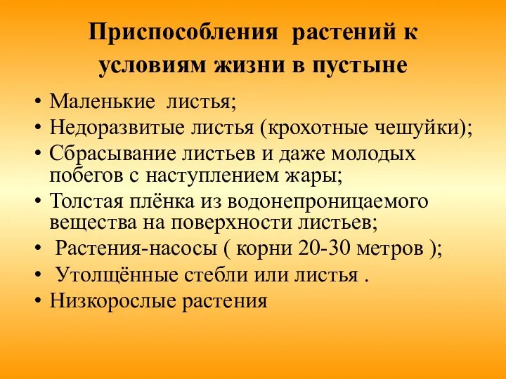 Приспособления растений к условиям жизни в пустыне Маленькие листья; Недоразвитые