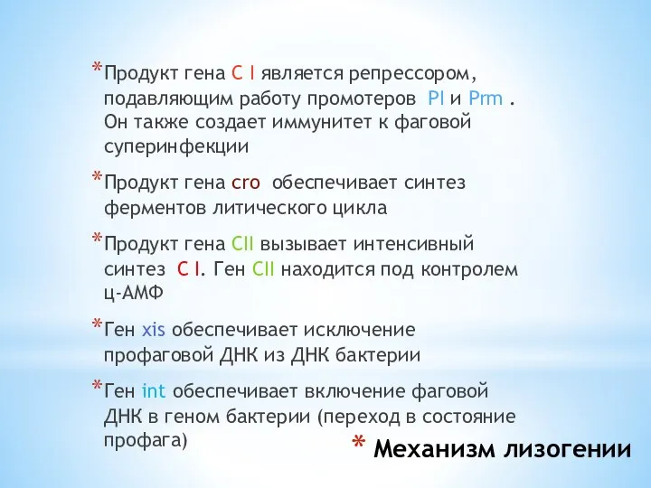 Механизм лизогении Продукт гена С I является репрессором, подавляющим работу