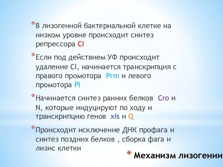 Механизм лизогении В лизогенной бактериальной клетке на низком уровне происходит