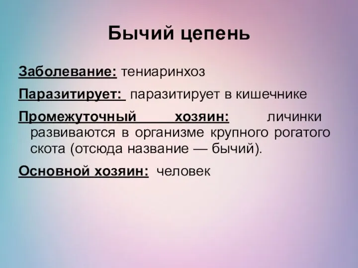 Бычий цепень Заболевание: тениаринхоз Паразитирует: паразитирует в кишечнике Промежуточный хозяин: