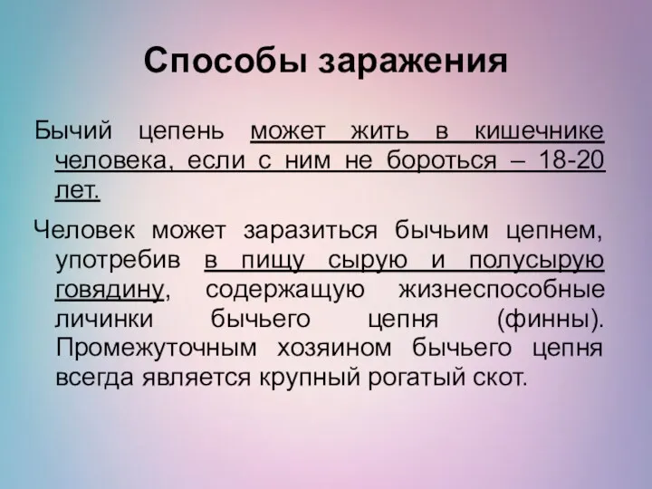 Способы заражения Бычий цепень может жить в кишечнике человека, если