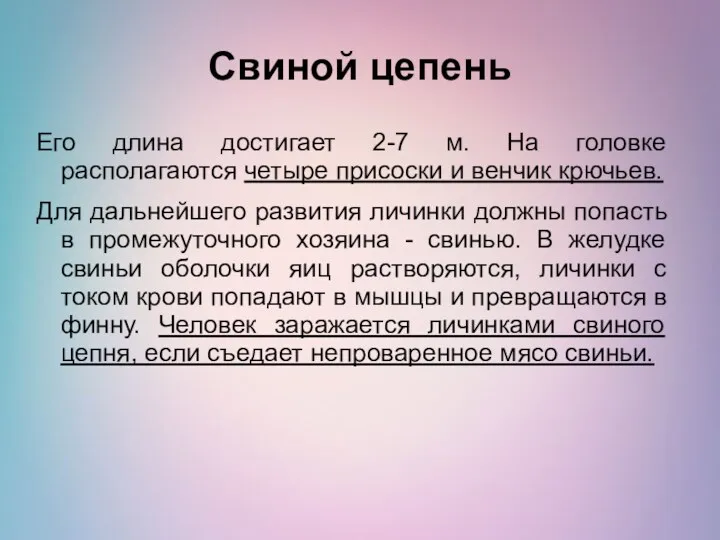 Свиной цепень Его длина достигает 2-7 м. На головке располагаются