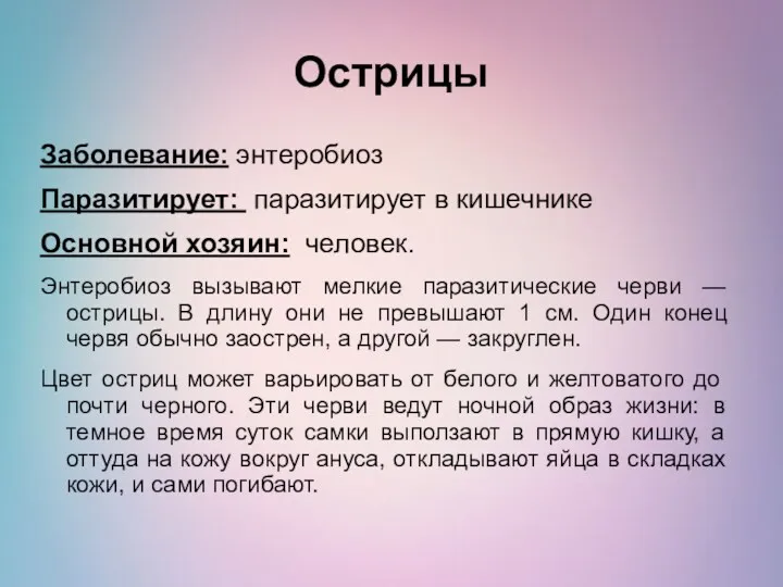 Острицы Заболевание: энтеробиоз Паразитирует: паразитирует в кишечнике Основной хозяин: человек.