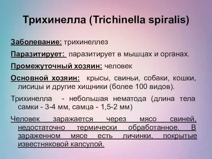 Трихинелла (Trichinella spiralis) Заболевание: трихинеллез Паразитирует: паразитирует в мышцах и