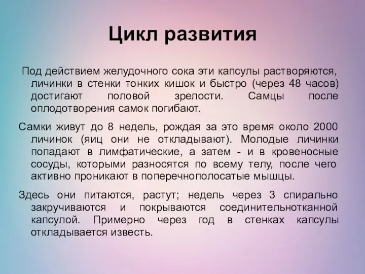 Цикл развития Под действием желудочного сока эти капсулы растворяются, личинки