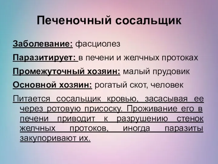 Печеночный сосальщик Заболевание: фасциолез Паразитирует: в печени и желчных протоках