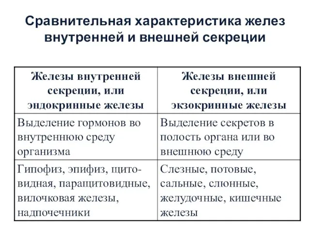 Сравнительная характеристика желез внутренней и внешней секреции