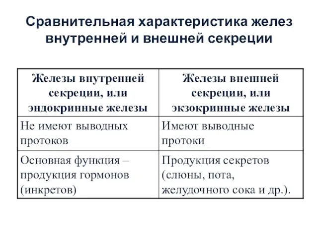 Сравнительная характеристика желез внутренней и внешней секреции