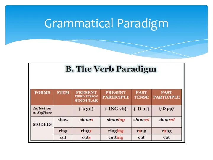 Grammatical Paradigm