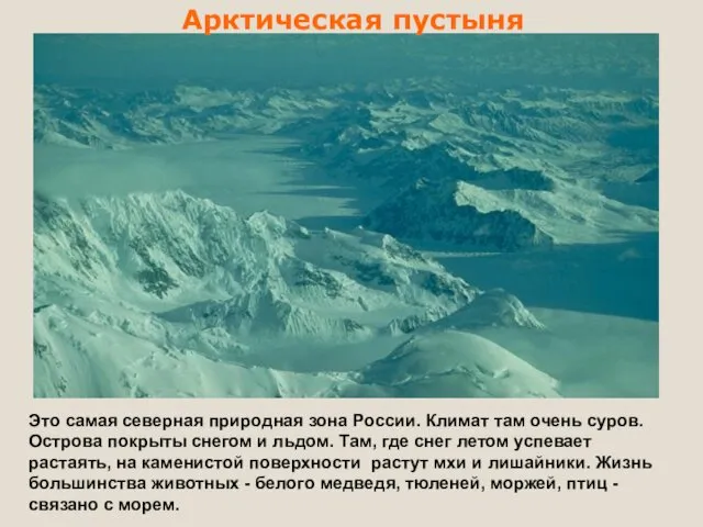 Арктическая пустыня Это самая северная природная зона России. Климат там