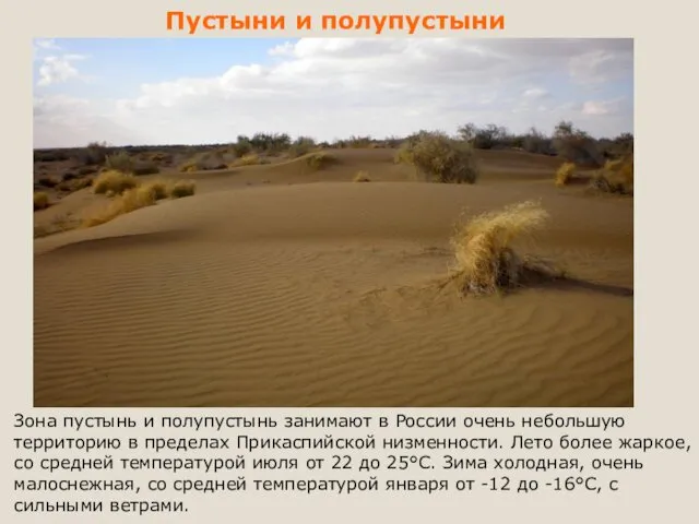 Пустыни и полупустыни Зона пустынь и полупустынь занимают в России