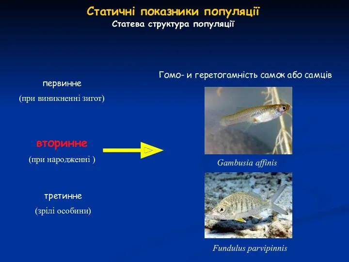 Статичні показники популяції Статева структура популяції