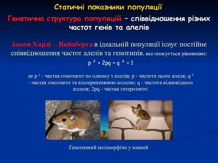 Статичні показники популяції Закон Харді – Вайнберга в ідеальній популяції