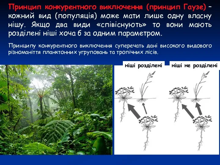 Принцип конкурентного виключення (принцип Гаузе) – кожний вид (популяція) може