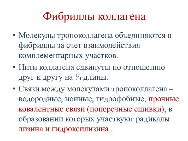 Фибриллы коллагена Молекулы тропоколлагена объединяются в фибриллы за счет взаимодействия