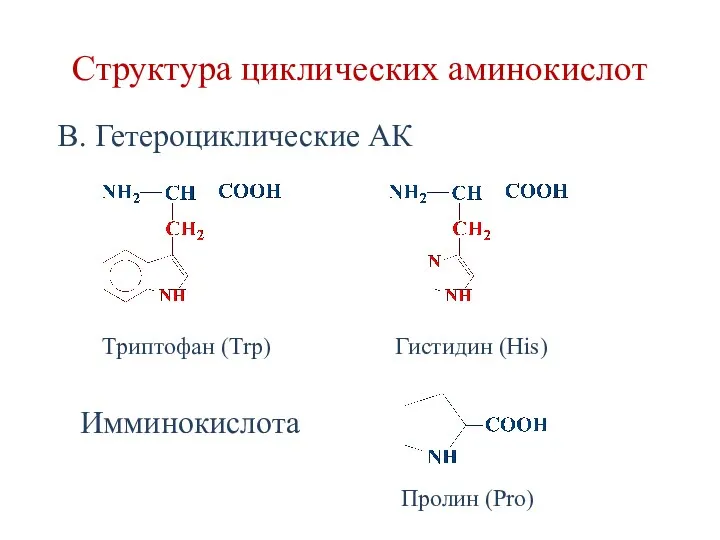 Структура циклических аминокислот В. Гетероциклические АК Триптофан (Trp) Гистидин (His) Пролин (Pro) Имминокислота