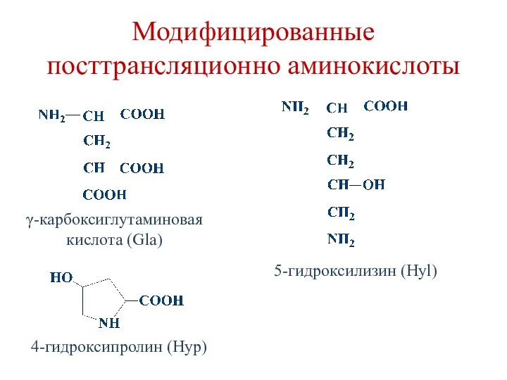 Модифицированные посттрансляционно аминокислоты 5-гидроксилизин (Hyl) 4-гидроксипролин (Hyp) γ-карбоксиглутаминовая кислота (Gla)