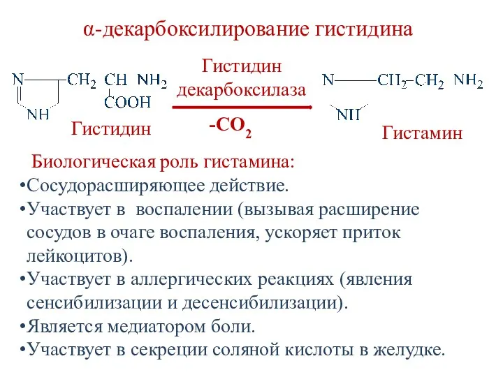 Биологическая роль гистамина: Сосудорасширяющее действие. Участвует в воспалении (вызывая расширение