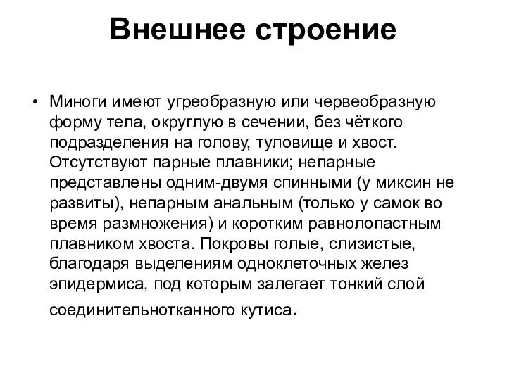 Внешнее строение Миноги имеют угреобразную или червеобразную форму тела, округлую