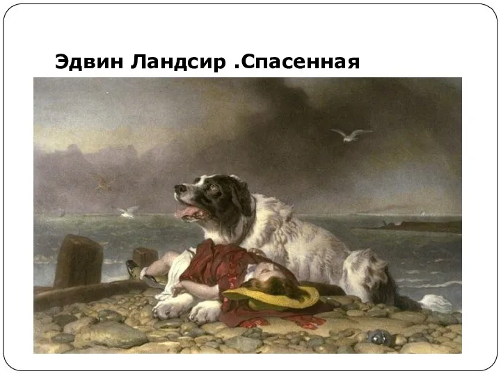 Эдвин Ландсир .Спасенная