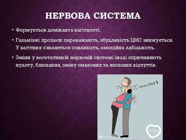 НЕРВОВА СИСТЕМА Формується домінанта вагітності. Гальмівні процеси переважають, збудливість ЦНС