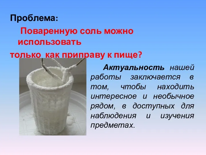 Проблема: Поваренную соль можно использовать только как приправу к пище? Актуальность нашей работы