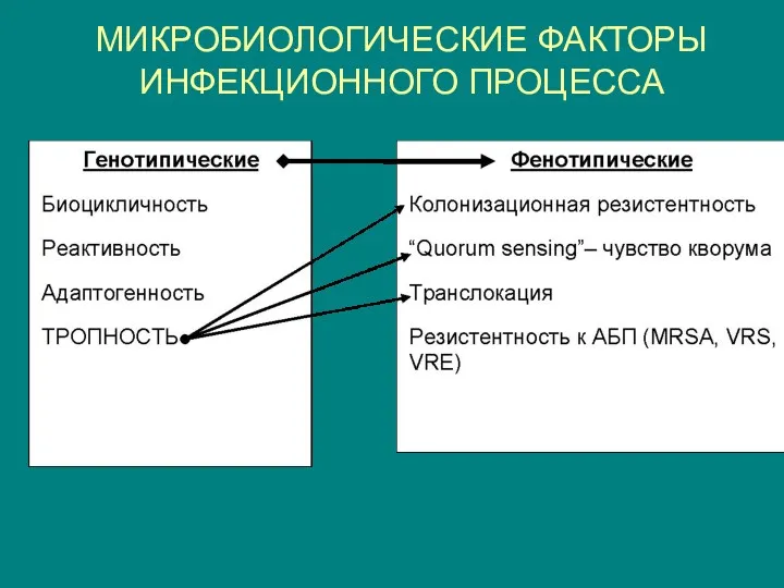 МИКРОБИОЛОГИЧЕСКИЕ ФАКТОРЫ ИНФЕКЦИОННОГО ПРОЦЕССА