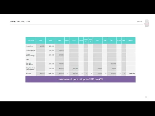 ИНВЕСТИЦИИ 2019 small ожидаемый рост оборота 2019 до 45%