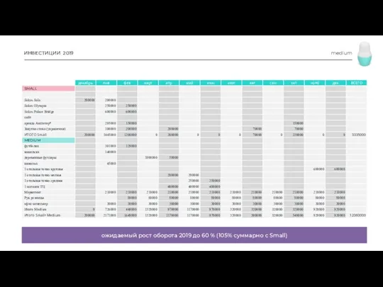 medium ИНВЕСТИЦИИ 2019 ожидаемый рост оборота 2019 до 60 % (105% суммарно с Small)