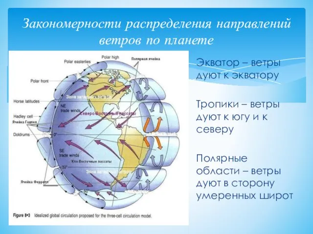 Закономерности распределения направлений ветров по планете Экватор – ветры дуют