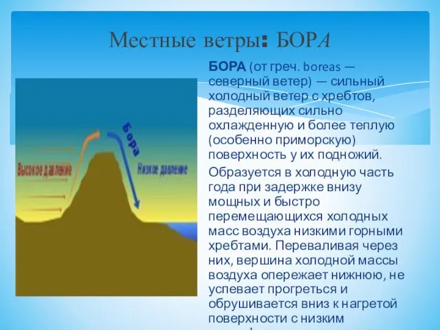 Местные ветры: БОРА БОРА (от греч. boreas — северный ветер)