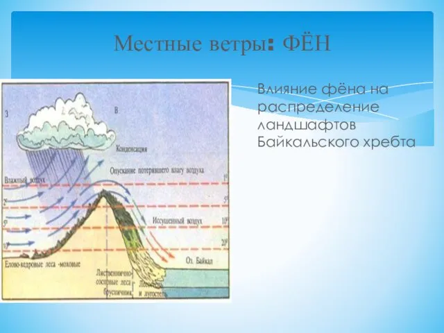 Местные ветры: ФЁН Влияние фёна на распределение ландшафтов Байкальского хребта