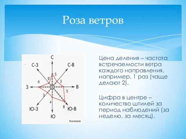 Роза ветров Цена деления – частота встречаемости ветра каждого направления,