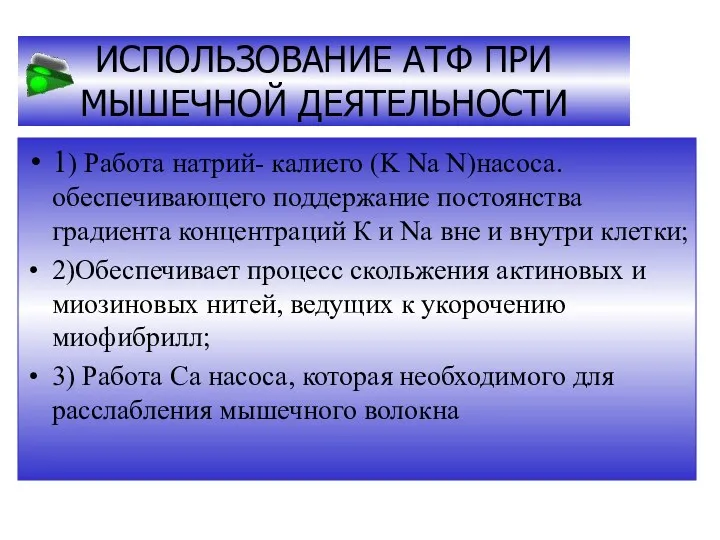 ИСПОЛЬЗОВАНИЕ АТФ ПРИ МЫШЕЧНОЙ ДЕЯТЕЛЬНОСТИ 1) Работа натрий- калиего (K