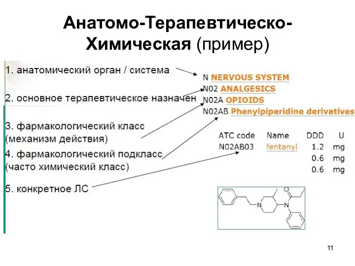 Анатомо-Терапевтическо-Химическая (пример)