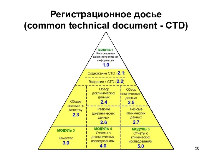 Регистрационное досье (common technical document - CTD)