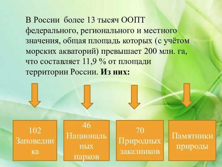 В России более 13 тысяч ООПТ федерального, регионального и местного