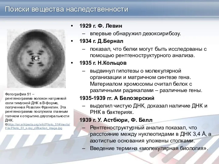 Поиски вещества наследственности 1929 г. Ф. Левин впервые обнаружил дезоксирибозу. 1934 г. Д.Бернал