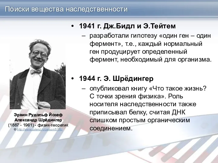 Поиски вещества наследственности 1941 г. Дж.Бидл и Э.Тейтем разработали гипотезу