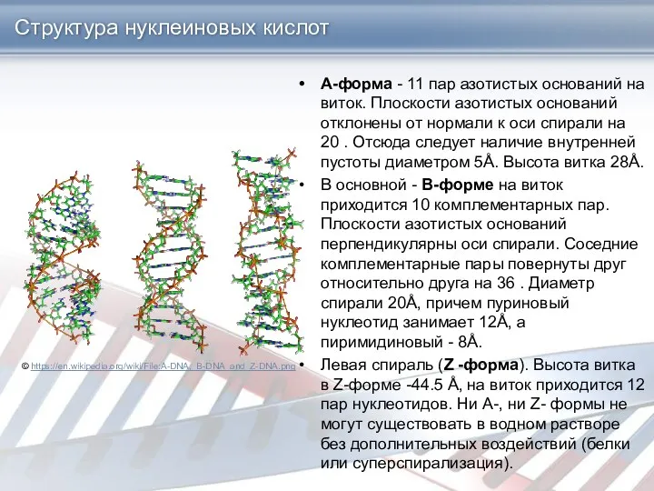 Структура нуклеиновых кислот А-форма - 11 пар азотистых оснований на виток. Плоскости азотистых